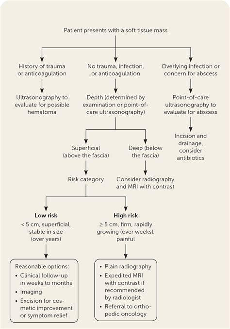 Soft Tissue Masses: Evaluation and Treatment 